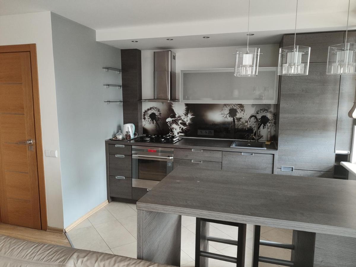 Nikoletos Apartamentai Panevezys Ngoại thất bức ảnh